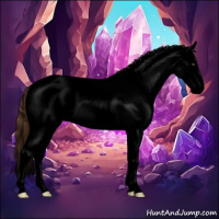 Horse Color:Void Red Dun Sabino Splash Appaloosa 