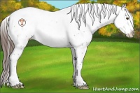 Horse Color:White Spotted Liver Chestnut Ice Splash Tobiano 