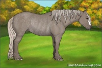 Horse Color:Silver Grullo Rabicano