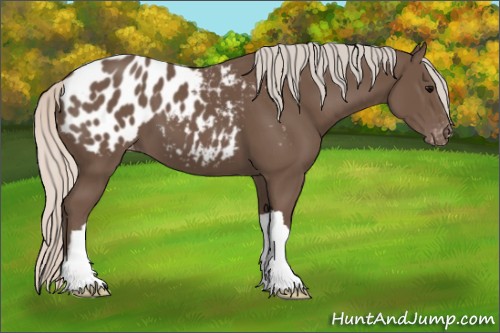 Horse Color:Silver Black Blanket 