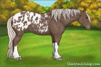 Horse Color:Silver Black Blanket
