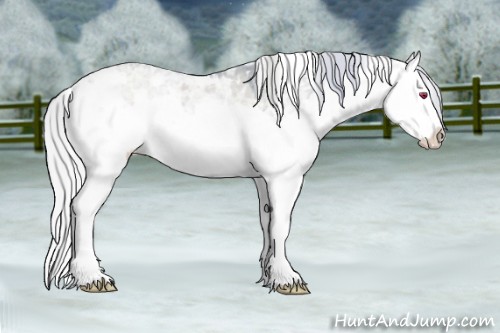 Horse Color:Watercolor White Spotted Silver Grullo Chinchilla Ice Splash Rabicano 
