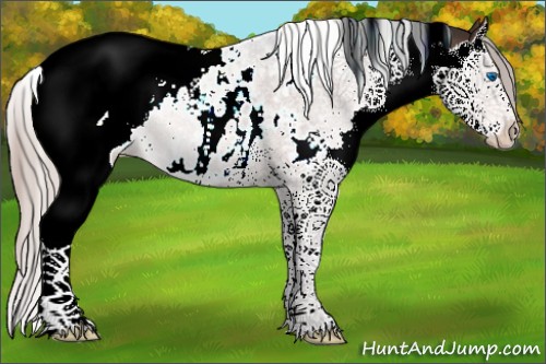 Horse Color:Silver Brown Splash Tobiano Blanket 