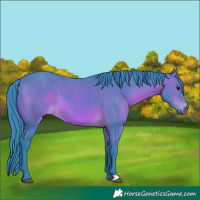 Horse Color:Watercolor Brown 