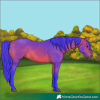 Horse Color:Watercolor Bay 