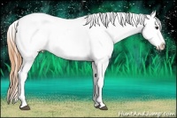 Horse Color:Buckskin Blanket 