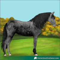 Horse Color:ERROR: UNKNOWN ANOMALY