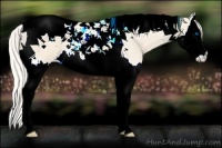 Horse Color:Cremello Splash Tobiano 