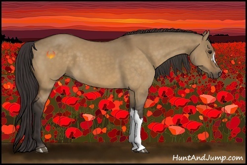 Horse Color:Buckskin Dun