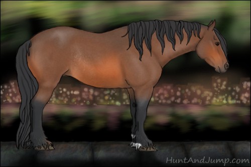 Horse Color:Bay Roan Rabicano 