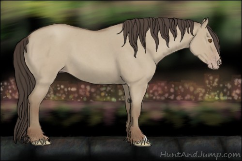 Horse Color:Classic Champagne Roan Dun 