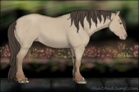 Horse Color:Classic Champagne Roan Dun 