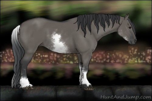 Horse Color:White Spotted Grullo Rabicano
