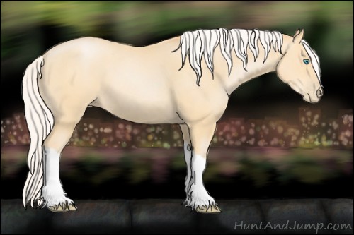 Horse Color:Silver Buckskin Pearl