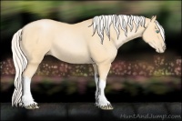 Horse Color:Silver Buckskin Pearl 