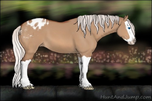 Horse Color:Silver Brown Dun Splash Varnish 