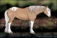 Horse Color:Silver Brown Dun Splash Varnish 
