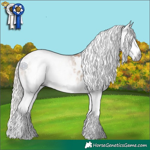 Horse Color:Gray White Spotted Chocolate Palomino Pearl Sabino Blanket 