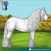 Horse Color:Gray White Spotted Chocolate Palomino Pearl Sabino Blanket 
