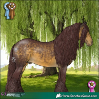 Horse Color:Chocolate Buckskin 