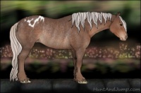 Horse Color:Silver Black Varnish Rabicano 