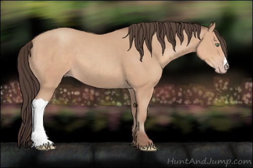 Horse Color:Amber Champagne