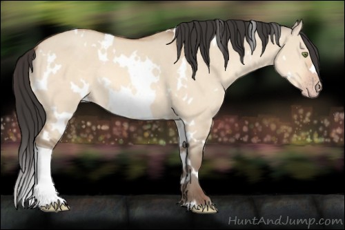 Horse Color:White Spotted Amber Champagne Dun 