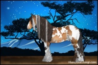 Horse Color:White Spotted Buckskin