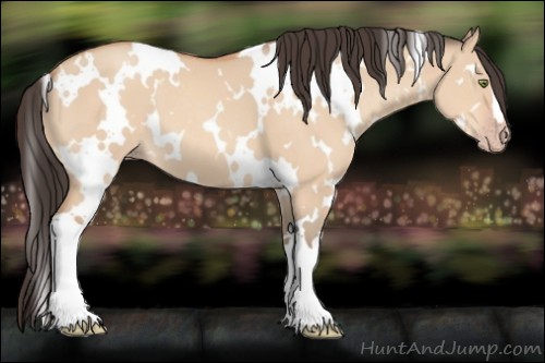 Horse Color:White Spotted Amber Champagne Dun