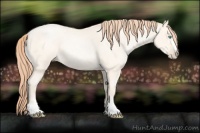 Horse Color:Amber Cream Champagne Roan Pearl Sabino 