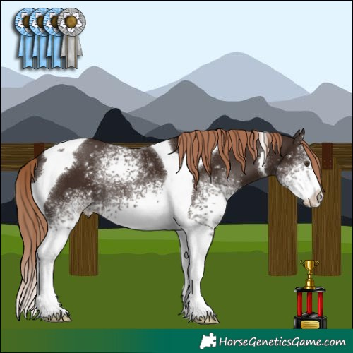 Horse Color:White Spotted Liver Chestnut Tobiano