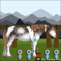 Horse Color:White Spotted Liver Chestnut Tobiano 