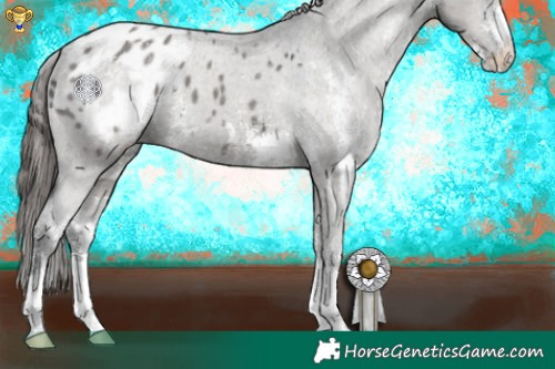 Horse Color:Grullo Sabino Appaloosa 