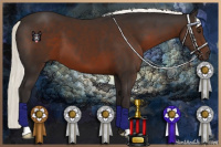 Horse Color:Liver Chestnut Mushroom 