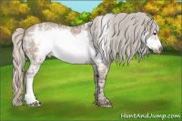 Horse Color:Silver Grullo Ice Frame Rabicano 