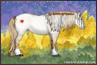 Horse Color:Gray Red Dun Pearl Rabicano 