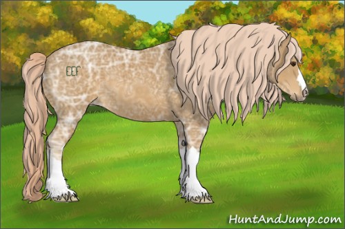 Horse Color:Palomino Ice 