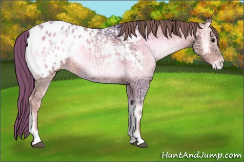 Horse Color:Watercolor Red Onyx Ice Appaloosa 