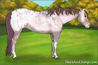 Horse Color:Watercolor Red Onyx Ice Appaloosa 