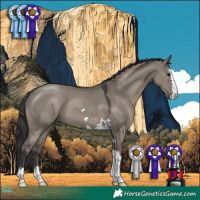 Horse Color:Smoky Grullo