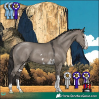 Horse Color:Smoky Grullo 