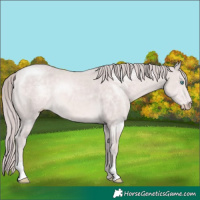 Horse Color:Platinum Chocolate Perlino 