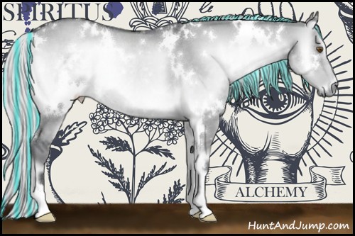 Horse Color:Painted White Spotted Silver Grullo Chinchilla Onyx Rabicano 