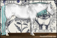 Horse Color:Painted White Spotted Silver Grullo Chinchilla Onyx Rabicano