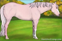 Horse Color:Watercolor Silver Grullo Chinchilla 
