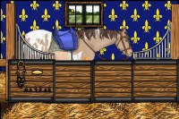 Horse Color:Amber Champagne Tobiano Appaloosa Rabicano 