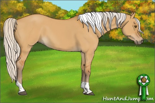 Horse Color:Silver Buckskin Dun Sabino Tobiano 