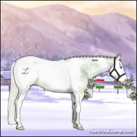 Horse Color:Palomino Roan Pearl Splash Tobiano Appaloosa 