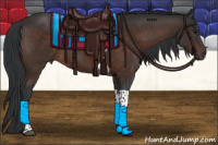 Horse Color:Brown Tobiano 