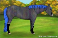 Horse Color:Watercolor Midnight Brown Ice 